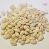 スーパーフードもち麦の効能とは？効果なし？食物繊維が豊富でダイエットにも！その食べ方とは！